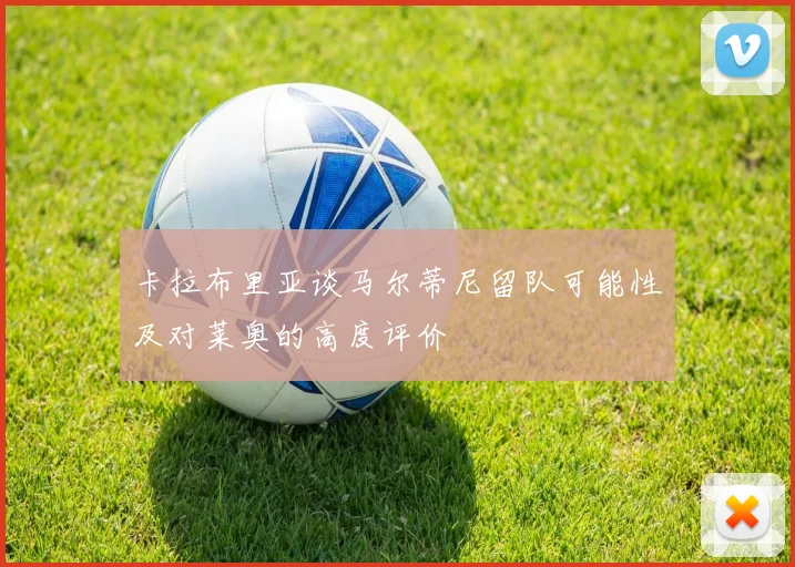 卡拉布里亚谈马尔蒂尼留队可能性及对莱奥的高度评价